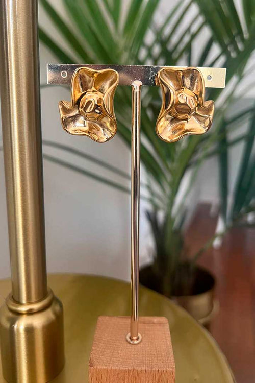 Pendientes Clotilda